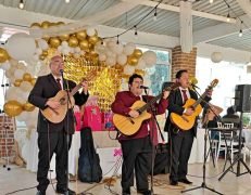 TRIOS MUSICA
